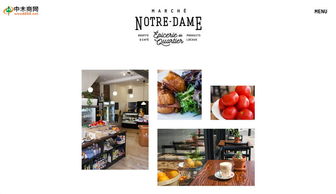 中木商網 一站式木材行業平臺，全方位滿足您的需求