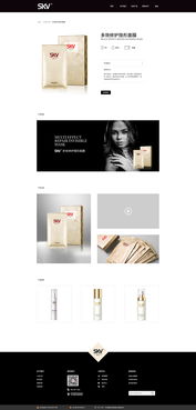 電腦圖文設計 網站設計的視覺核心與靈魂